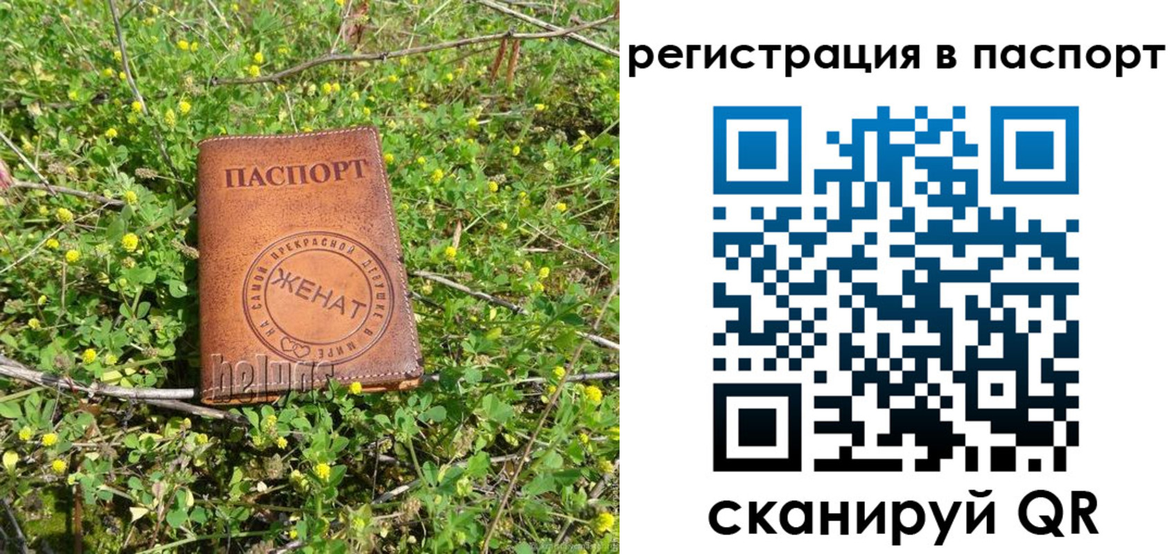 прописка для кредита в Сертолово